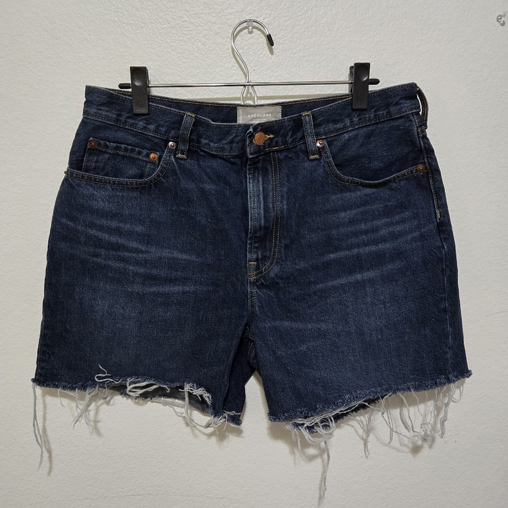 Everlane The Denim Short Organic Cotton Jean Shorts Raw Hem Size 31